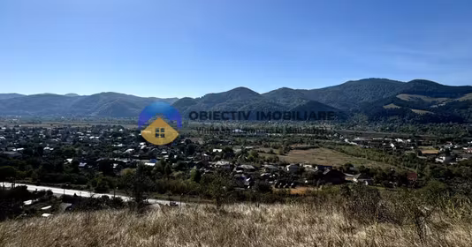 Teren Viișoara