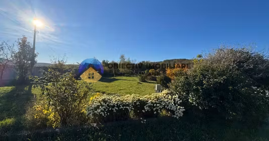 Spațiu comercial Dobreni