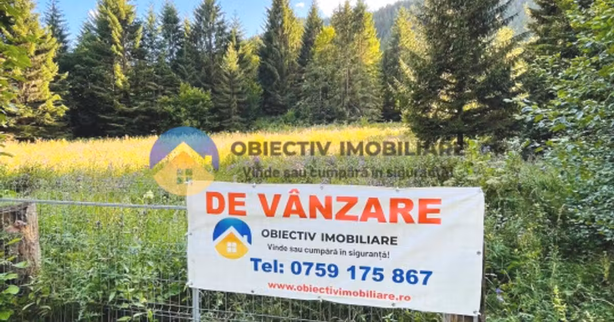 Teren Construcții intravilan de vânzare de 14114 mp, în Schitu Tarcău