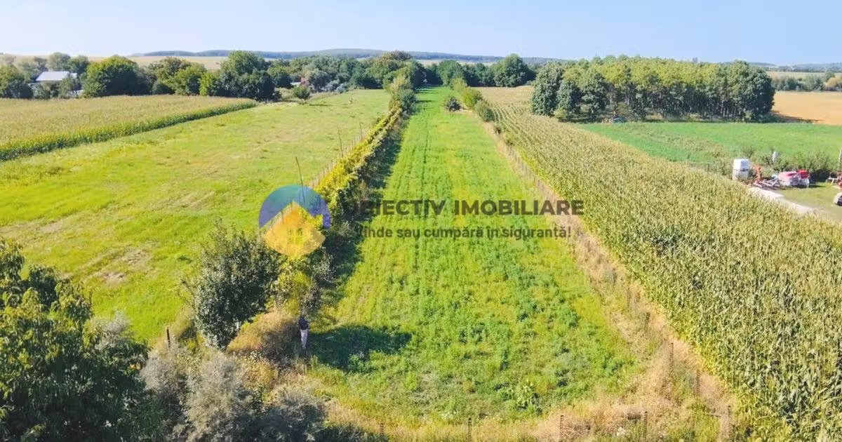 Teren Construcții intravilan de vânzare de 6764 mp, în Vad