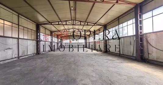 Spațiu comercial Păcurari