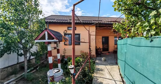 Casă Micro 3
