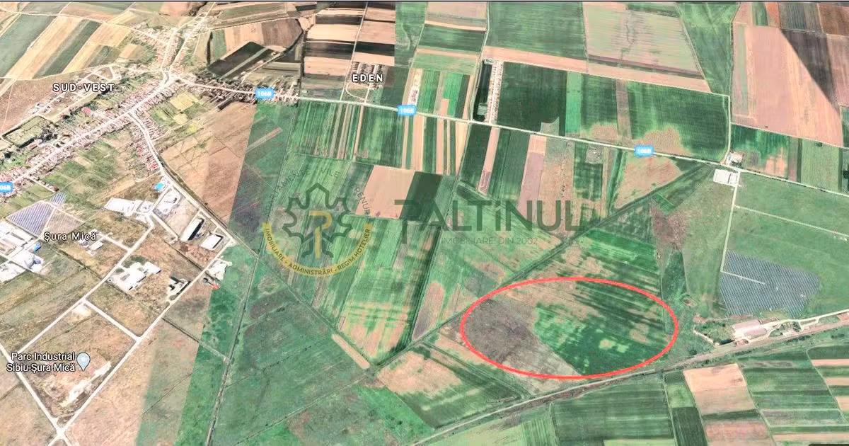 Teren agricol extravilan de vânzare de 7100 mp, în Șura Mică
