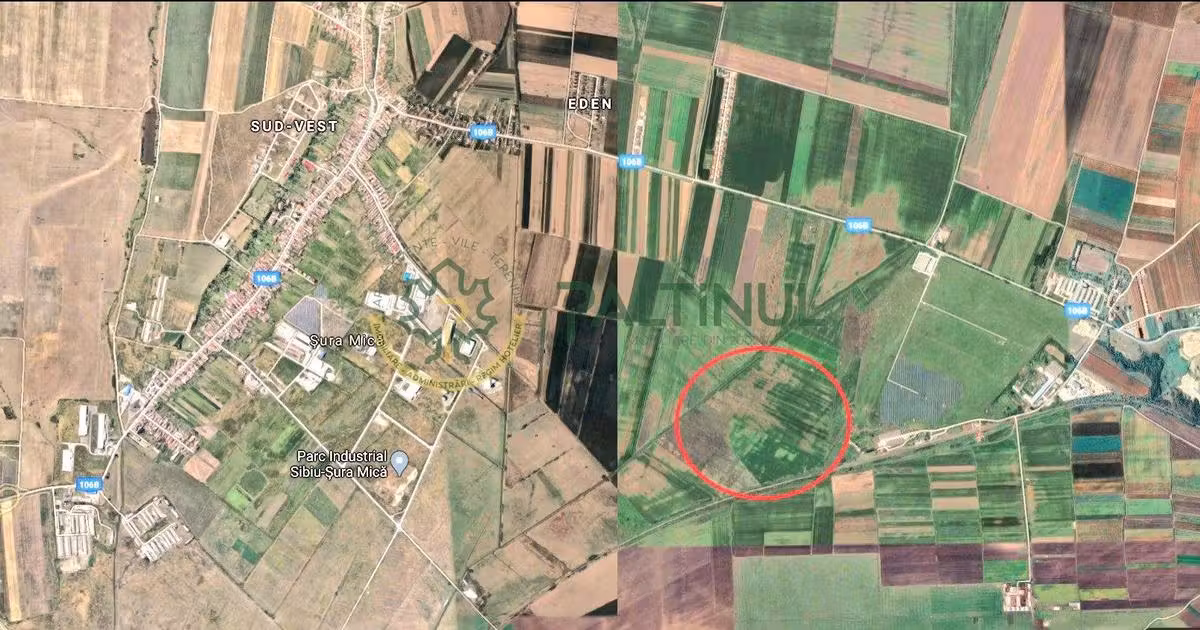 Teren agricol extravilan de vânzare de 10650 mp, în Șura Mică