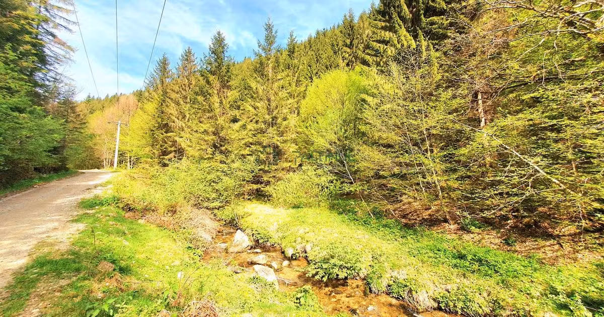 Teren agricol extravilan de vânzare de 4176 mp, în Rășinari