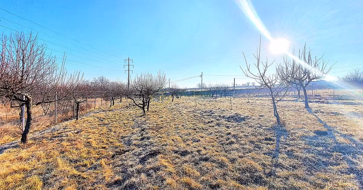 Teren Construcții intravilan de vânzare de 390 mp, în Daia