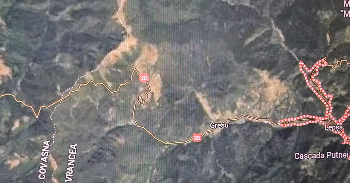 Teren agricol extravilan de vânzare de 57000 mp, în Lepșa