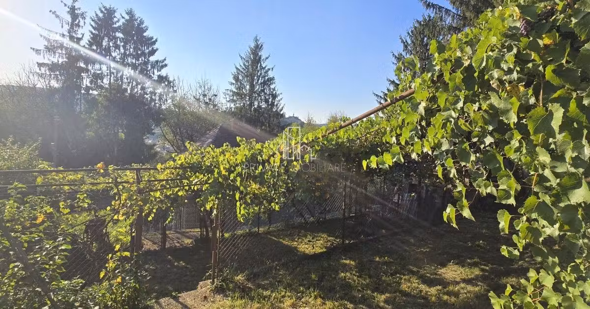 Casă individuală de vânzare cu 2 camere în Sighișoara