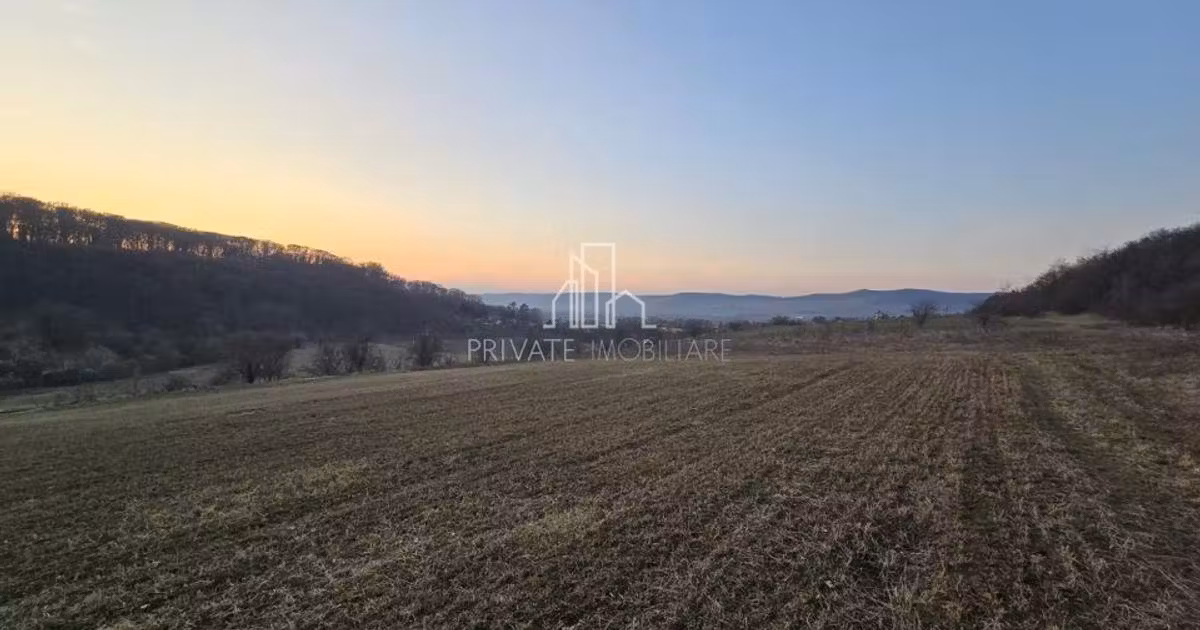 Teren agricol extravilan de vânzare de 28800 mp, în Sighișoara