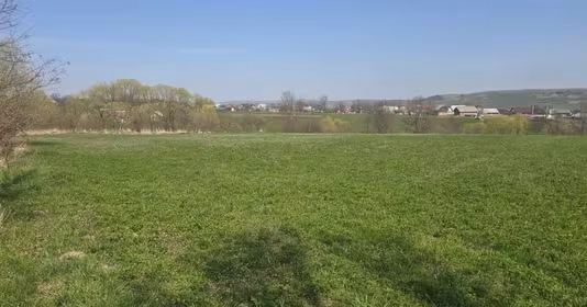 Teren Ilișești