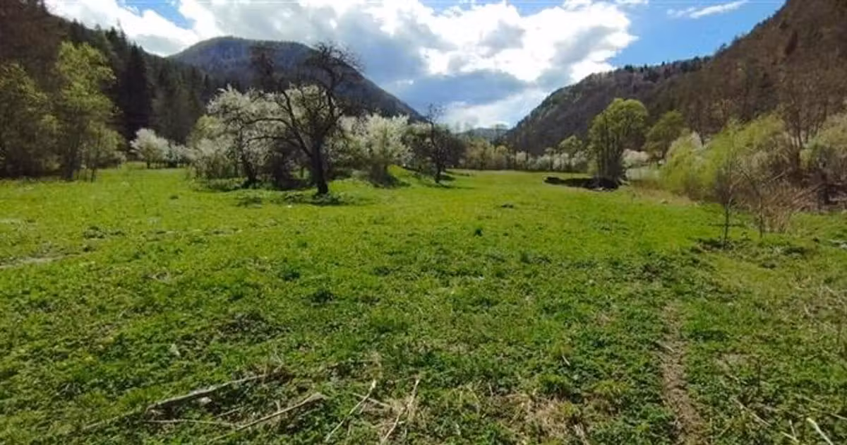 Teren Construcții intravilan de vânzare de 2148 mp, în zona Sud-Est, Bacău