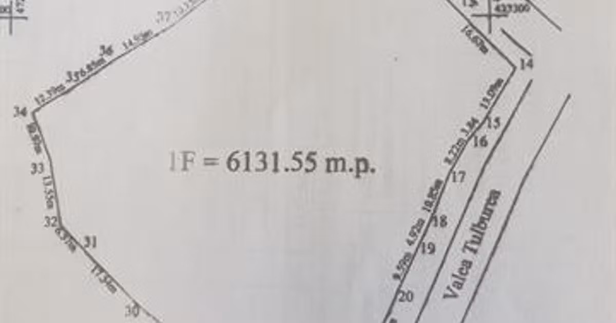 Teren Construcții intravilan de vânzare de 6132 mp, în Poienari (Corbeni)