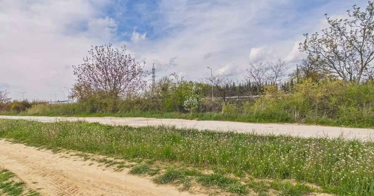 Teren agricol extravilan de vânzare de 2050 mp, în Giroc