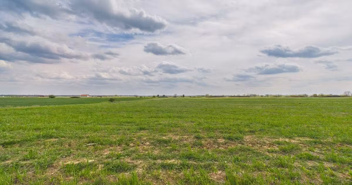 Teren agricol extravilan de vânzare de 6150 mp, în Giroc