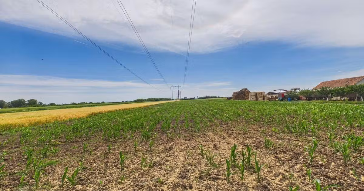 Teren agricol extravilan de vânzare de 10000 mp, în zona Gai, Arad