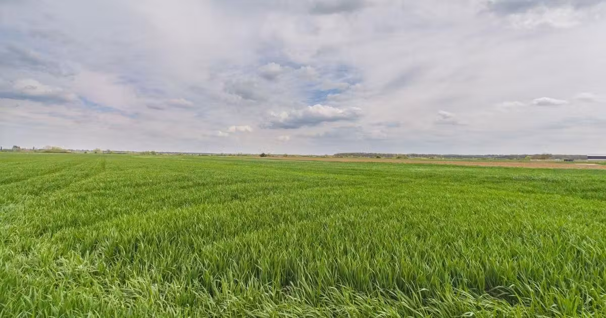 Teren agricol extravilan de vânzare de 19900 mp, în Giroc