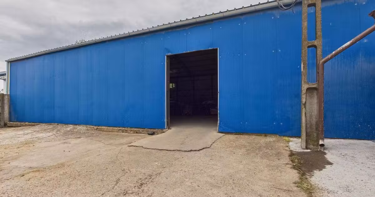 Spațiu industrial de vânzare în Săcălaz