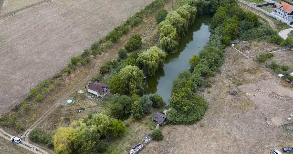 Teren agricol intravilan de vânzare de 7900 mp, în Frumușeni