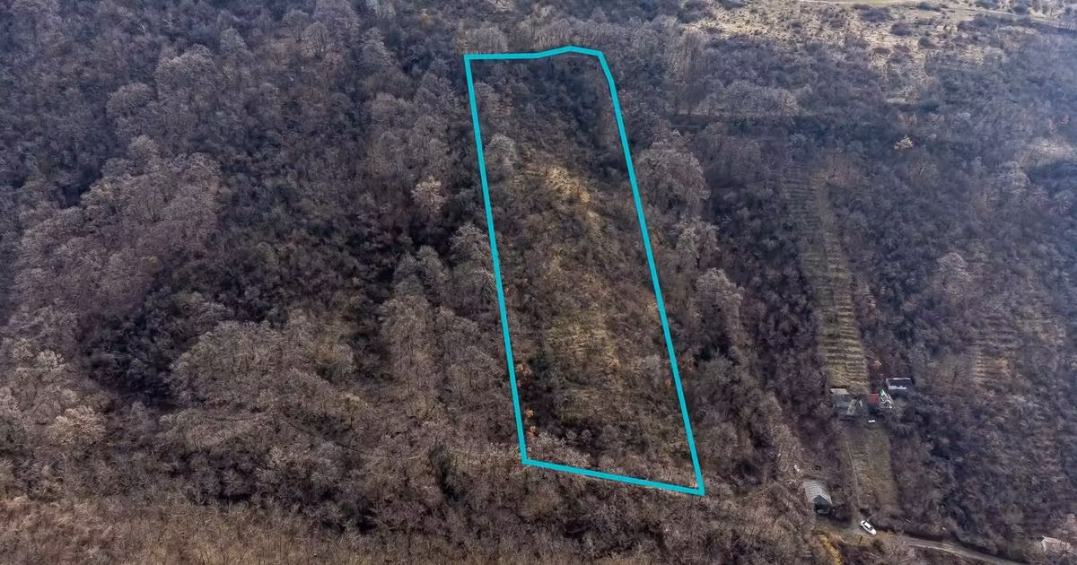Teren Construcții extravilan de vânzare de 5000 mp, în Ghioroc