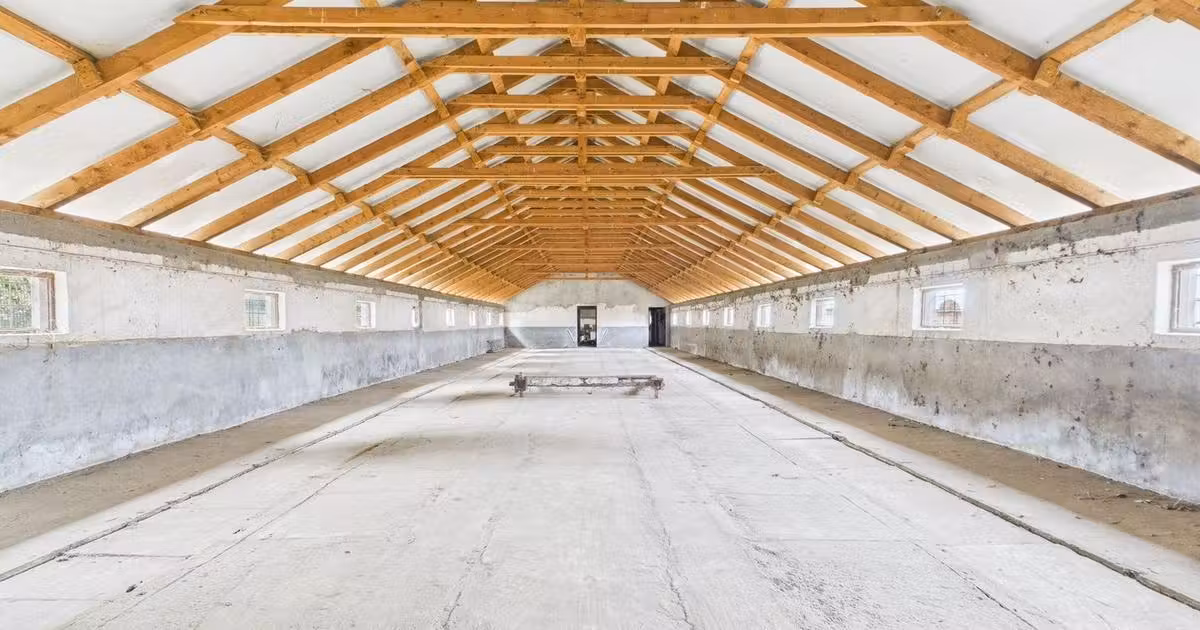 Spațiu industrial de vânzare în Variaș