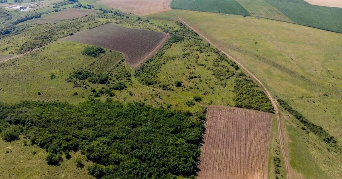 Teren agricol extravilan de vânzare de 20097500 mp, în zona Exterior Sud, Târgu Mureș