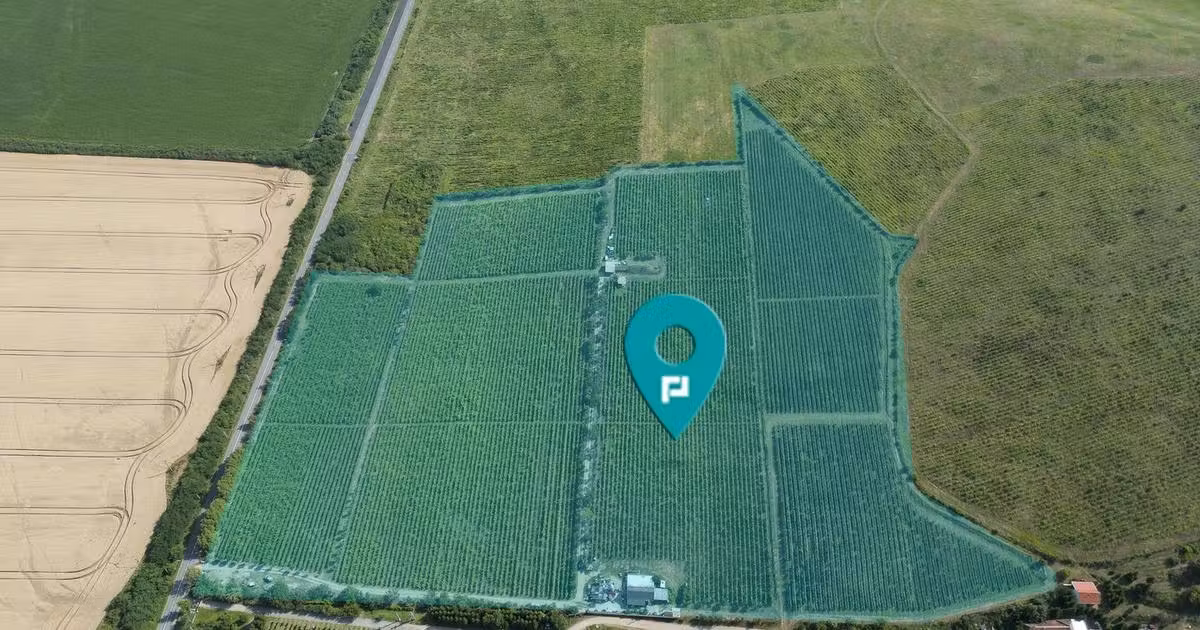 Teren agricol extravilan de vânzare de 80000 mp, în Covăsinț