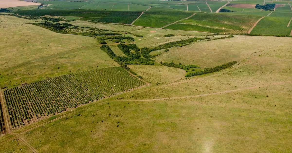Teren agricol extravilan de vânzare de 3184900 mp, în Videle