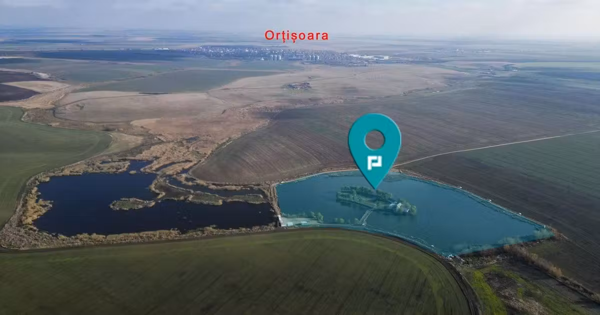 Teren agricol extravilan de vânzare de 46640 mp, în Orțișoara
