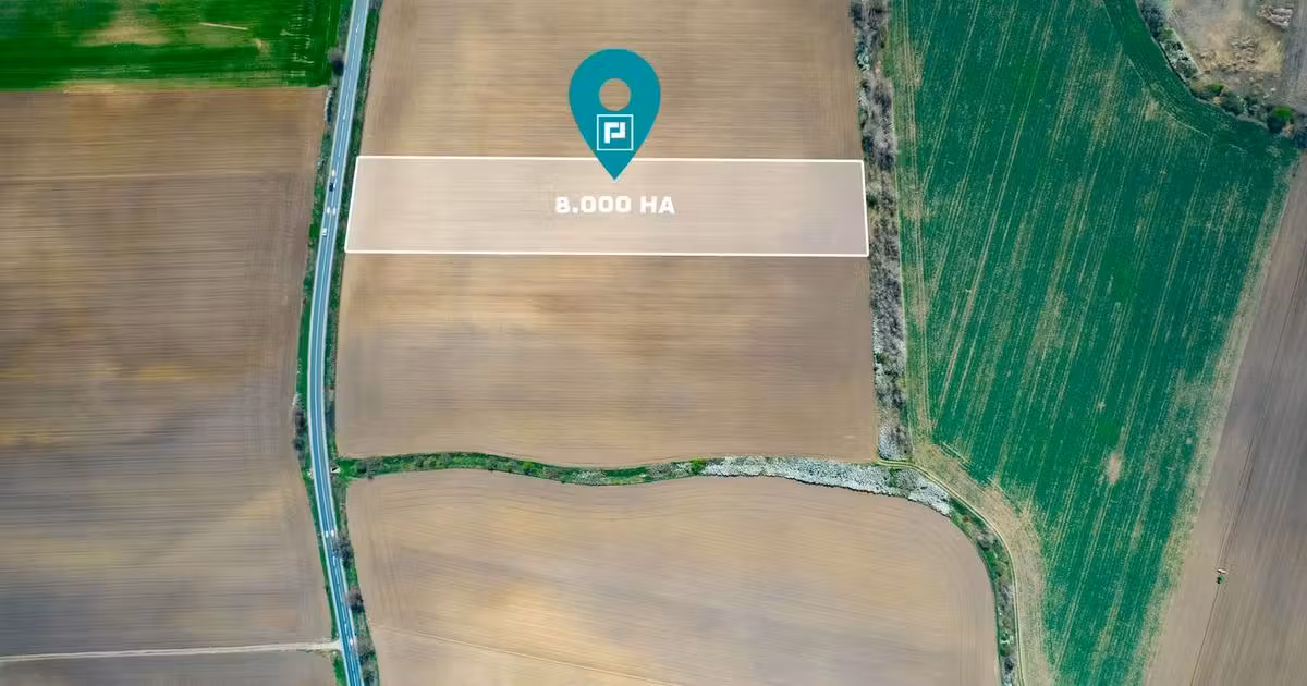 Teren agricol extravilan de vânzare de 8000 mp, în Zimandu Nou