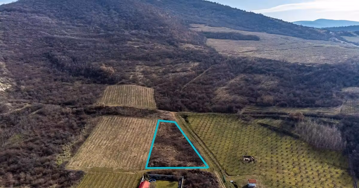 Teren Construcții intravilan de vânzare de 2800 mp, în Șiria