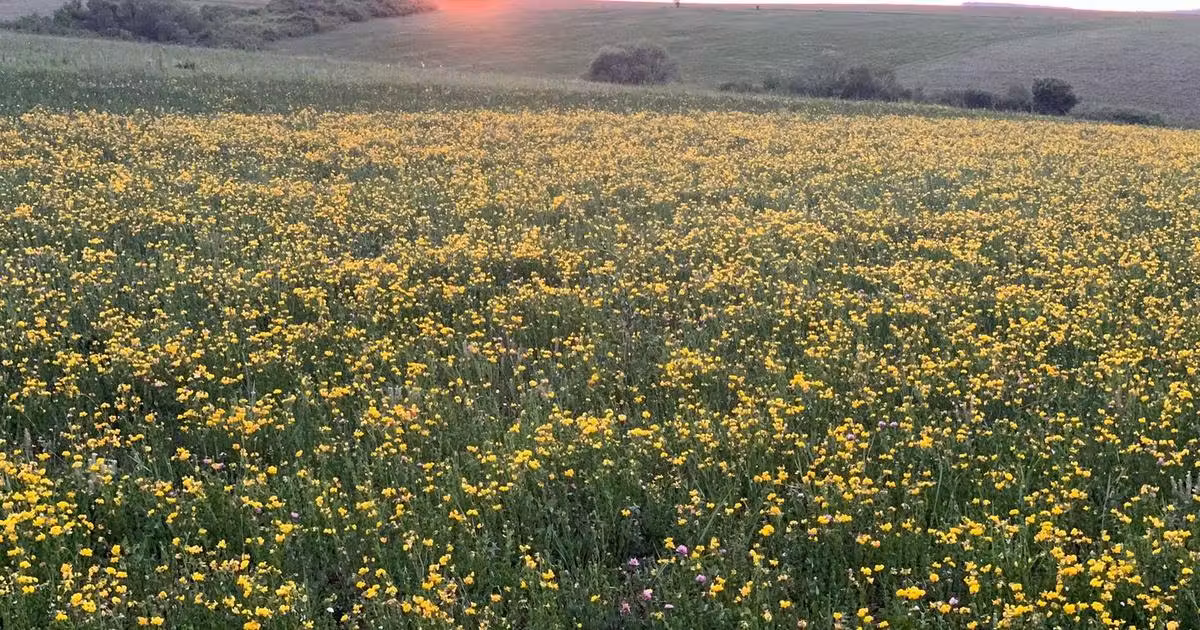 Teren agricol extravilan de vânzare de 6304500 mp, în Galați