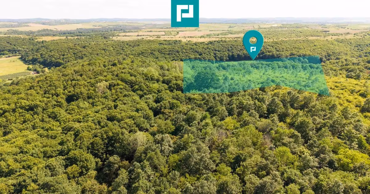 Teren agricol extravilan de vânzare de 22900 mp, în Lipova