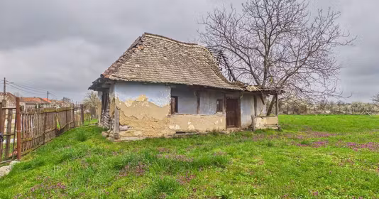 Teren Nufărul