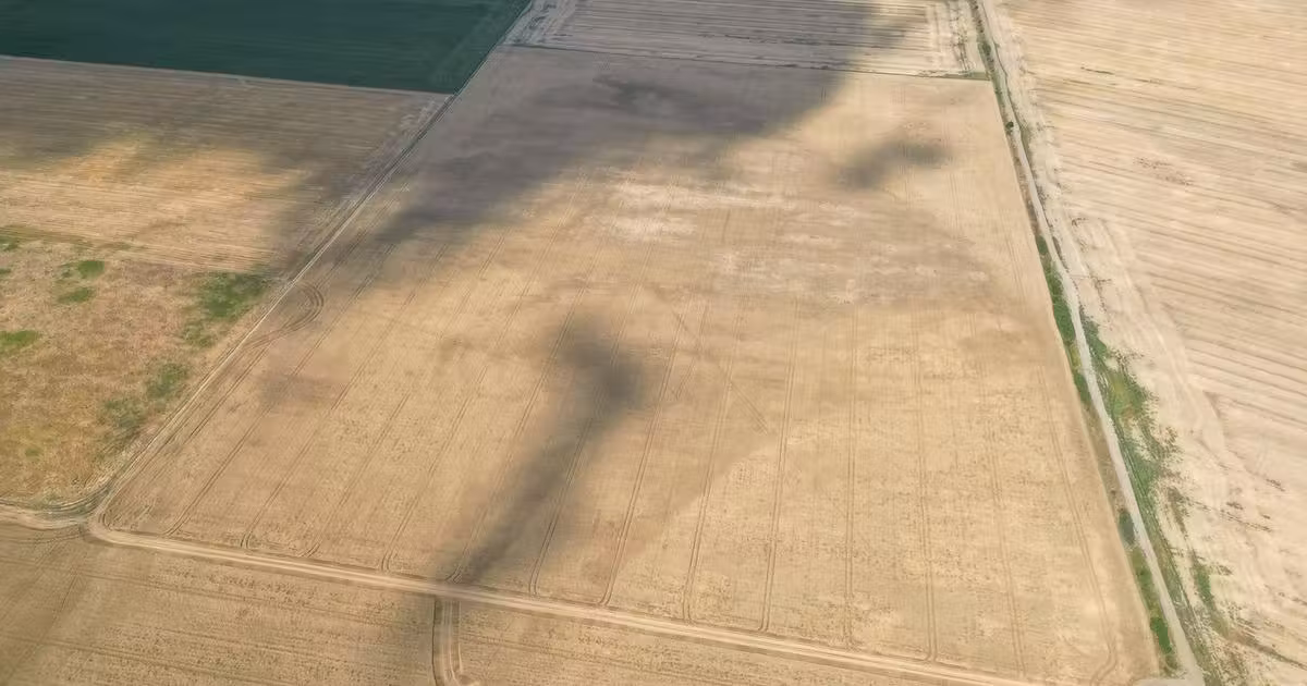 Teren agricol extravilan de vânzare de 664865 mp, în Murighiol