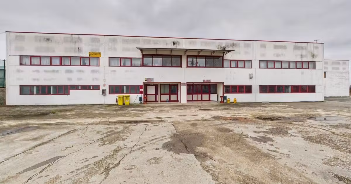 Spațiu industrial de vânzare în Sebiș