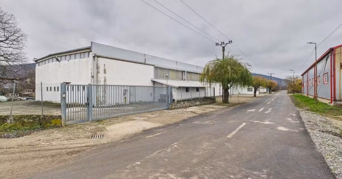 Spațiu industrial de vânzare în Sebiș