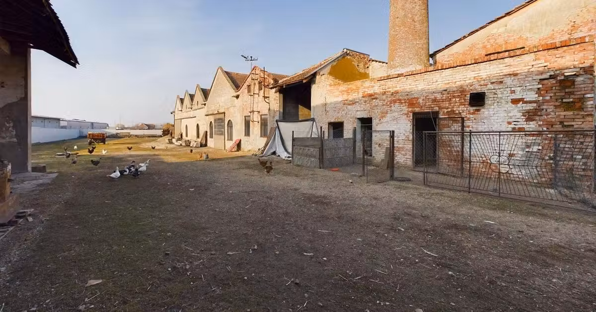 Teren Construcții intravilan de vânzare de 7360 mp, în Periam