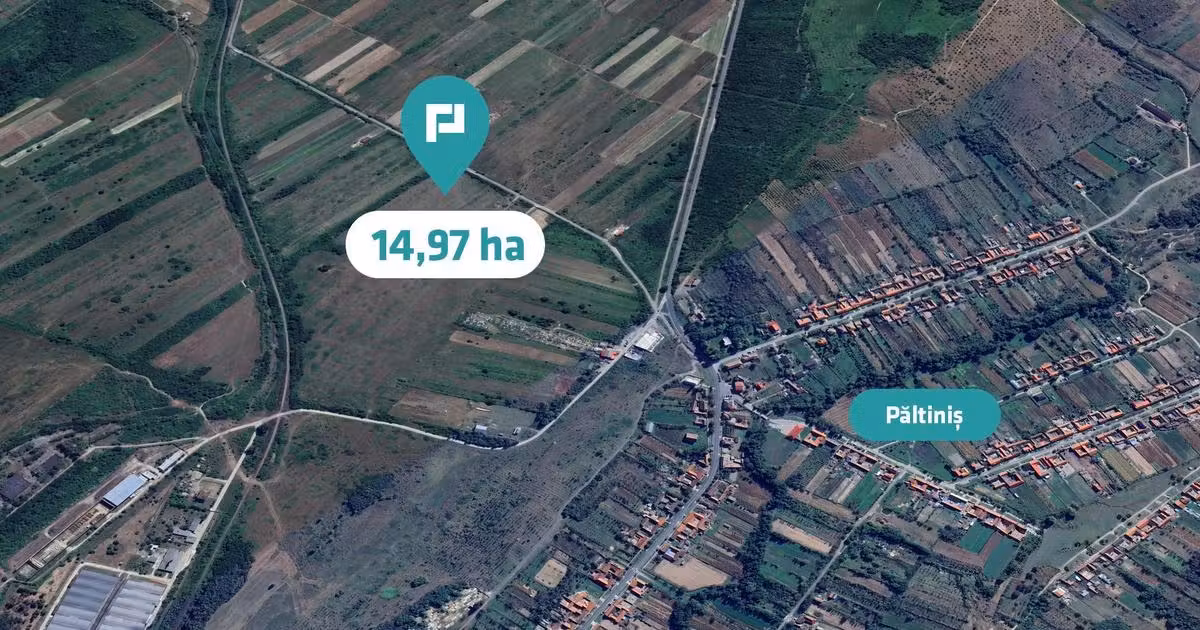 Teren agricol extravilan de vânzare de 151874 mp, în Păltiniș