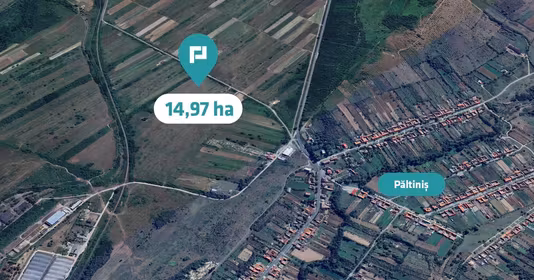 Teren Păltiniș