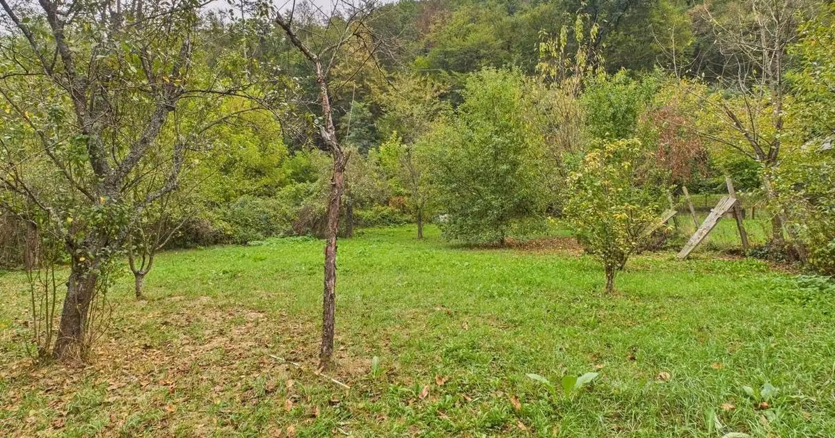 Teren Construcții intravilan de vânzare de 1000 mp, în Lipova