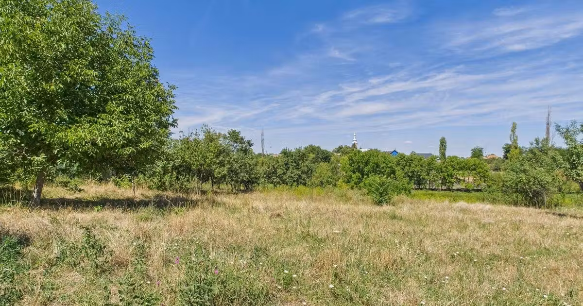 Teren Construcții intravilan de vânzare de 4919 mp, în Călacea