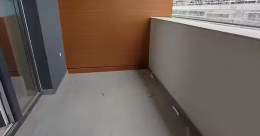Apartament Theodor Pallady