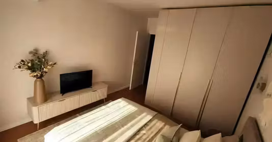 Apartament Theodor Pallady