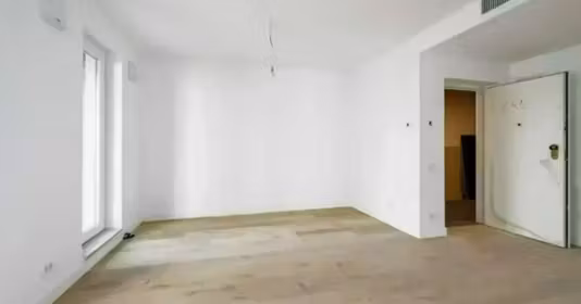 Apartament Theodor Pallady