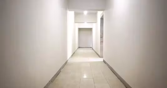 Apartament Theodor Pallady