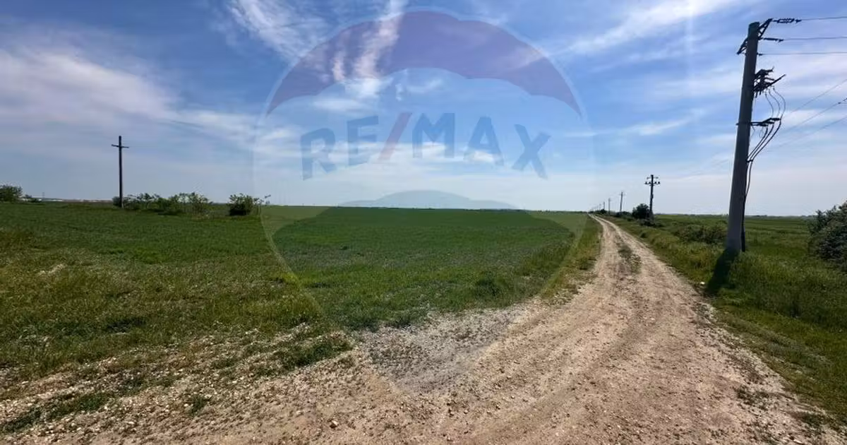 Teren Construcții intravilan de vânzare de 138104 mp, în Dragomirești-Vale