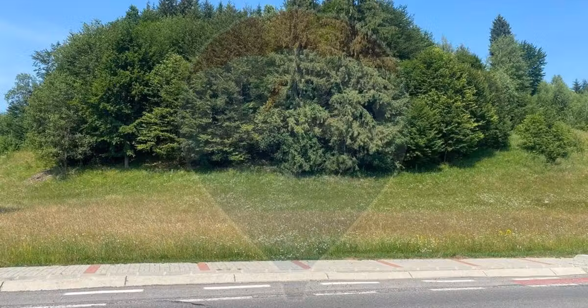 Teren agricol extravilan de vânzare de 3866 mp, în Vama Buzăului