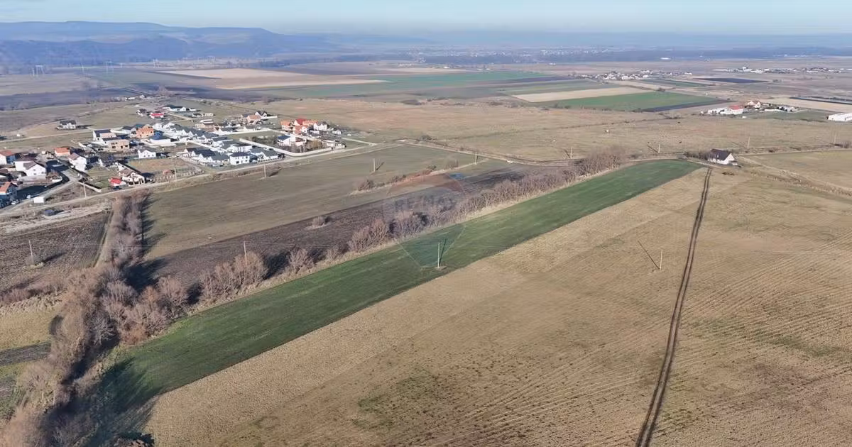 Teren agricol extravilan de vânzare de 6655 mp, în Hărman