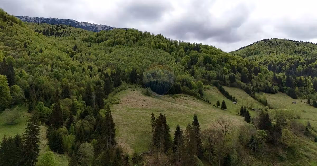 Teren agricol extravilan de vânzare de 48297 mp, în Sătic