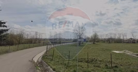 Teren Mărăști
